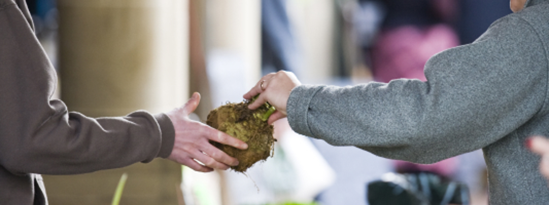 A lady serving at the markets 