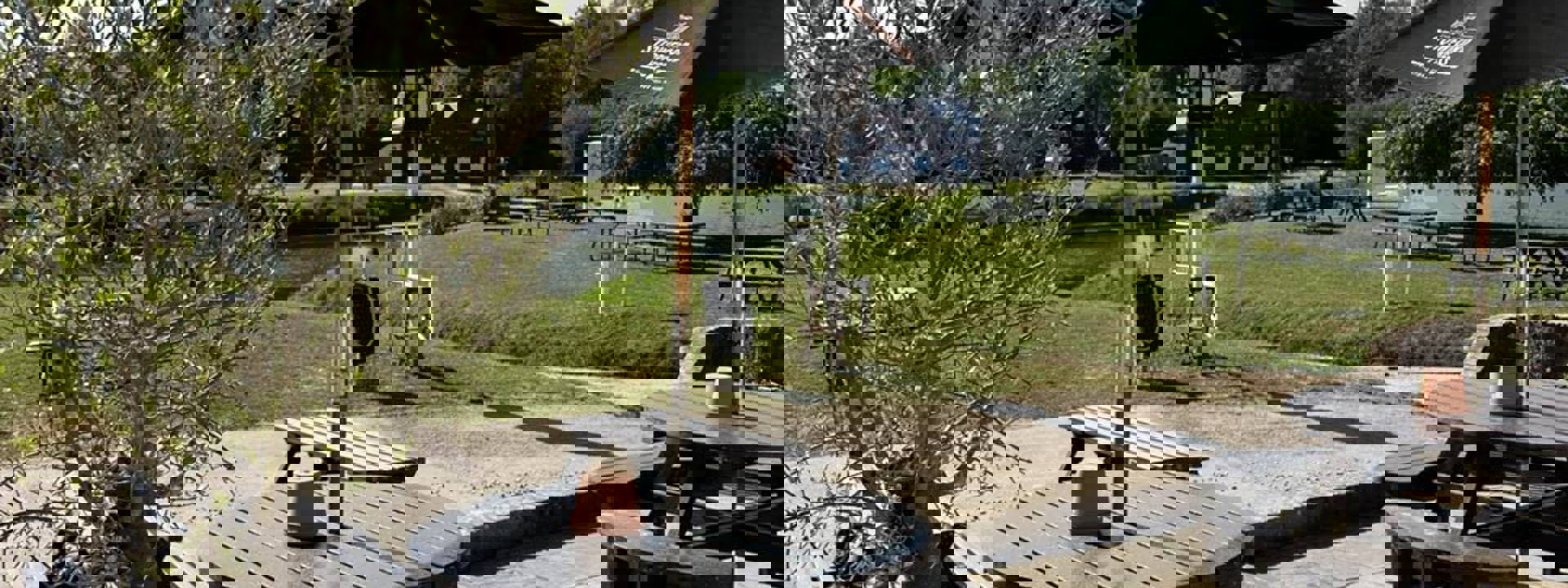 493064286 1098904542259897 3842153431616406974 N